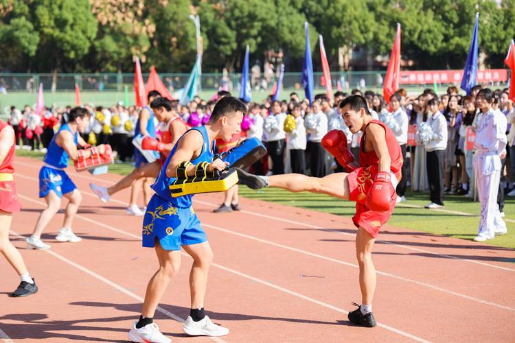 他们不仅是