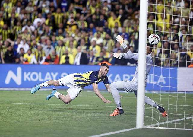 顽强防守和 顽强防守和